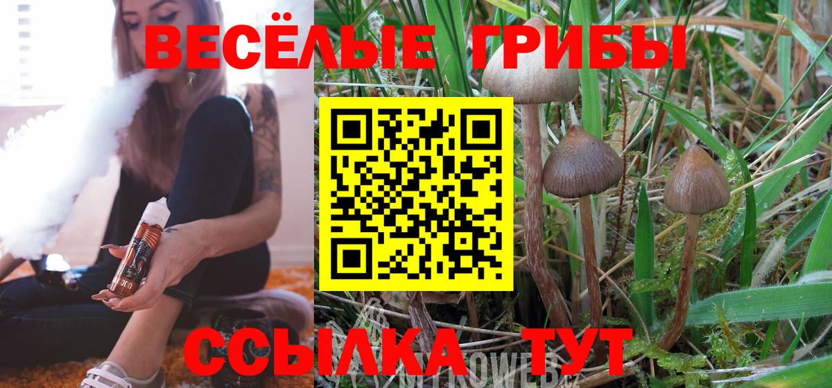 Псилоцибиновые грибы Psilocybe  даркнет сайт  Боровичи  Вход с VPN 